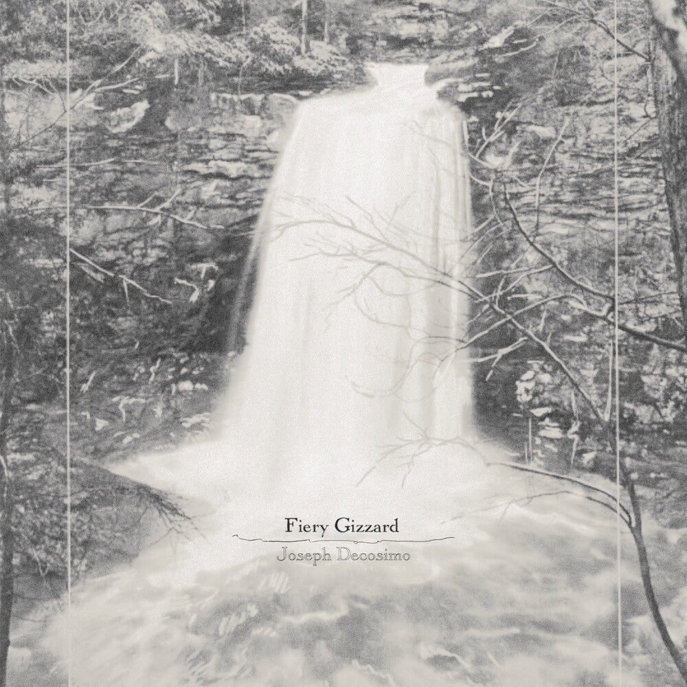 Fiery Gizzard [LP]