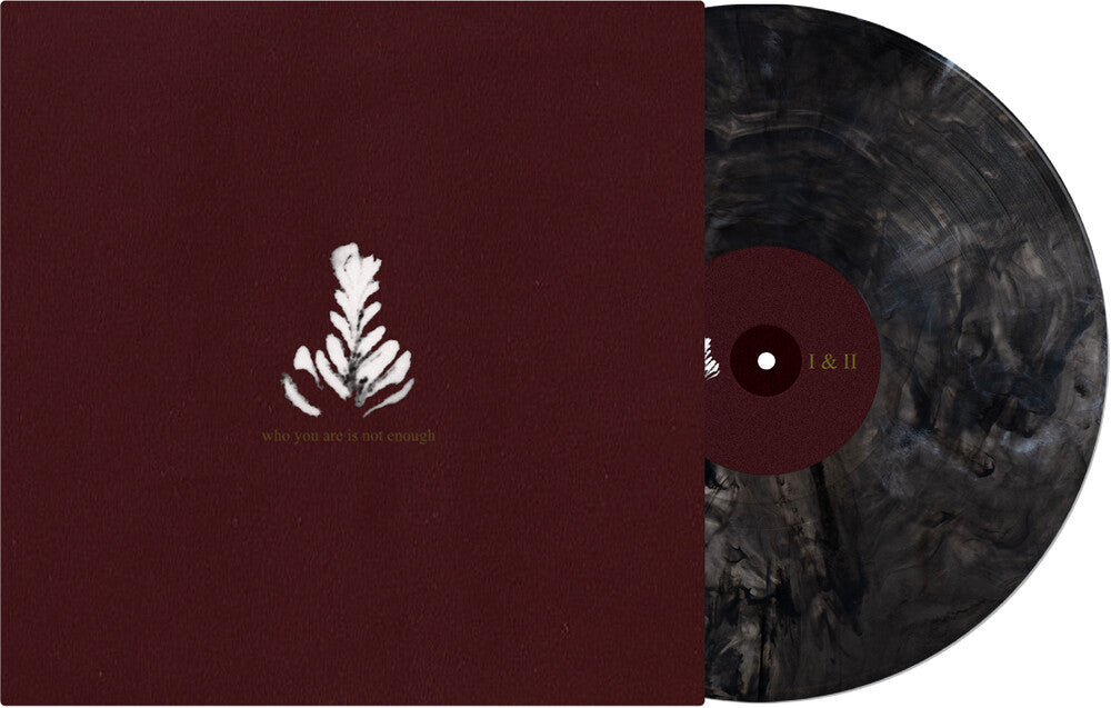 Who You Are Is Not Enough (Blk) [Colored Vinyl] (Gry)