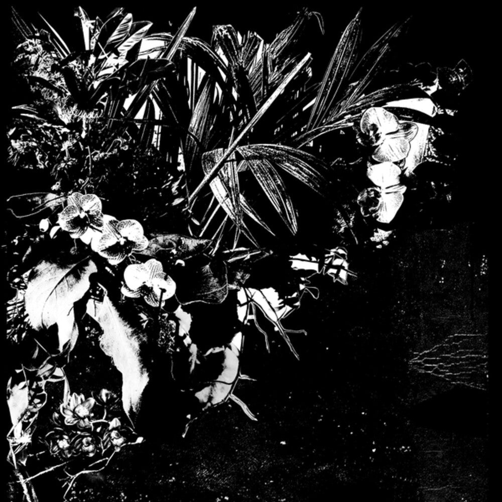 Orchid Alto [LP]