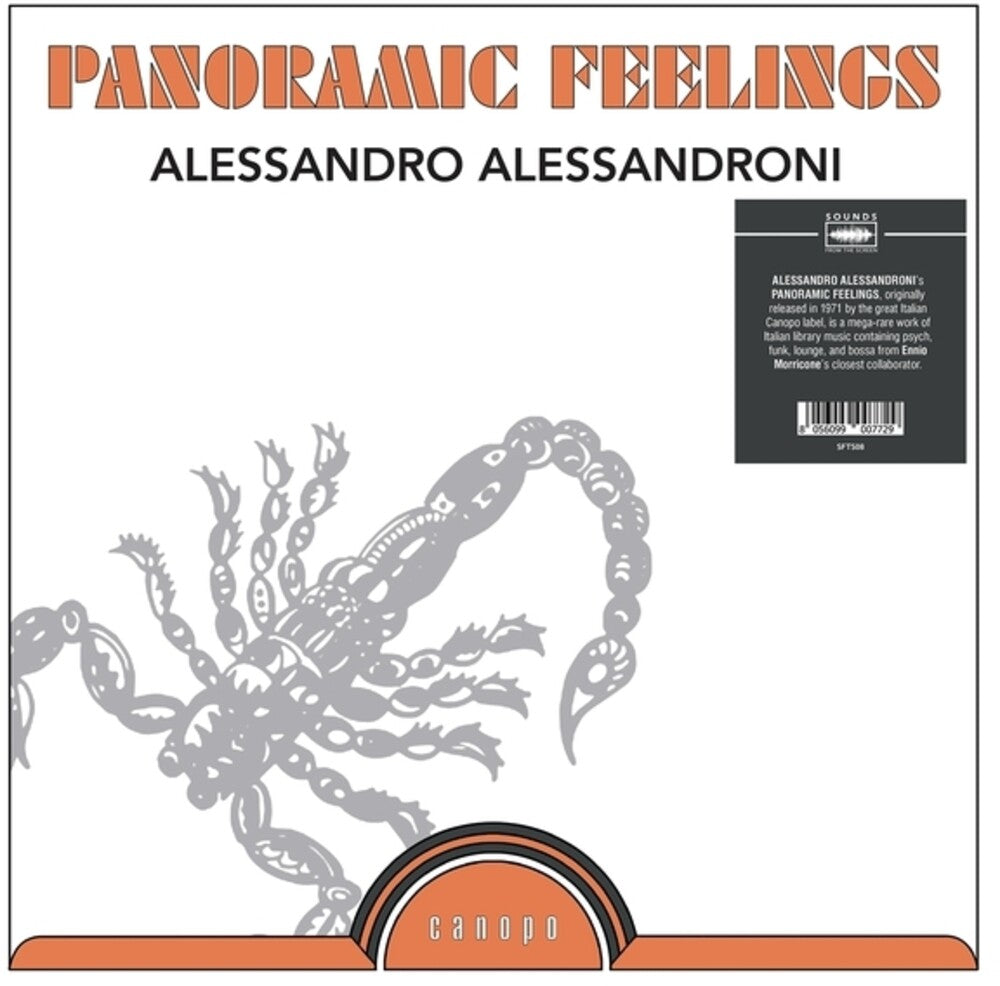 Panoramic Feelings [LP]