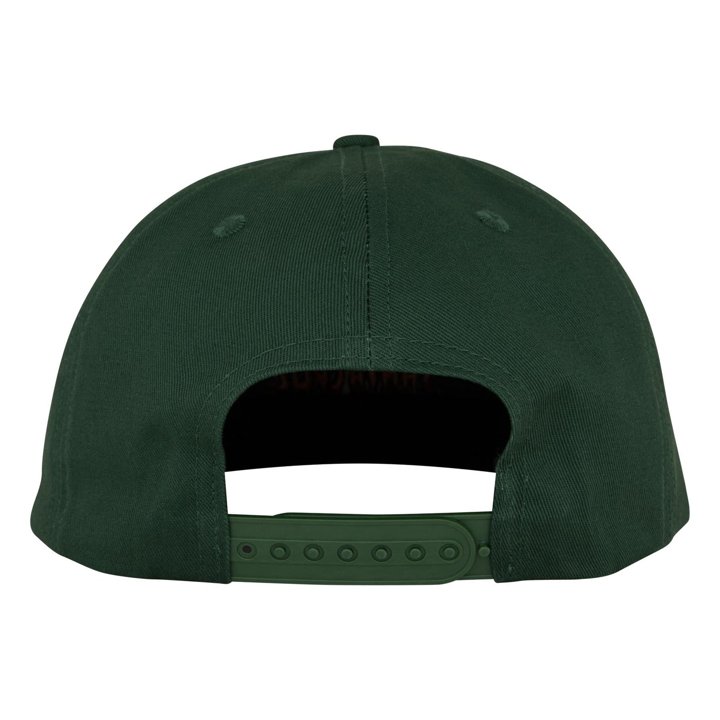 Santa Cruz Roskopp Iris Snapback Hat