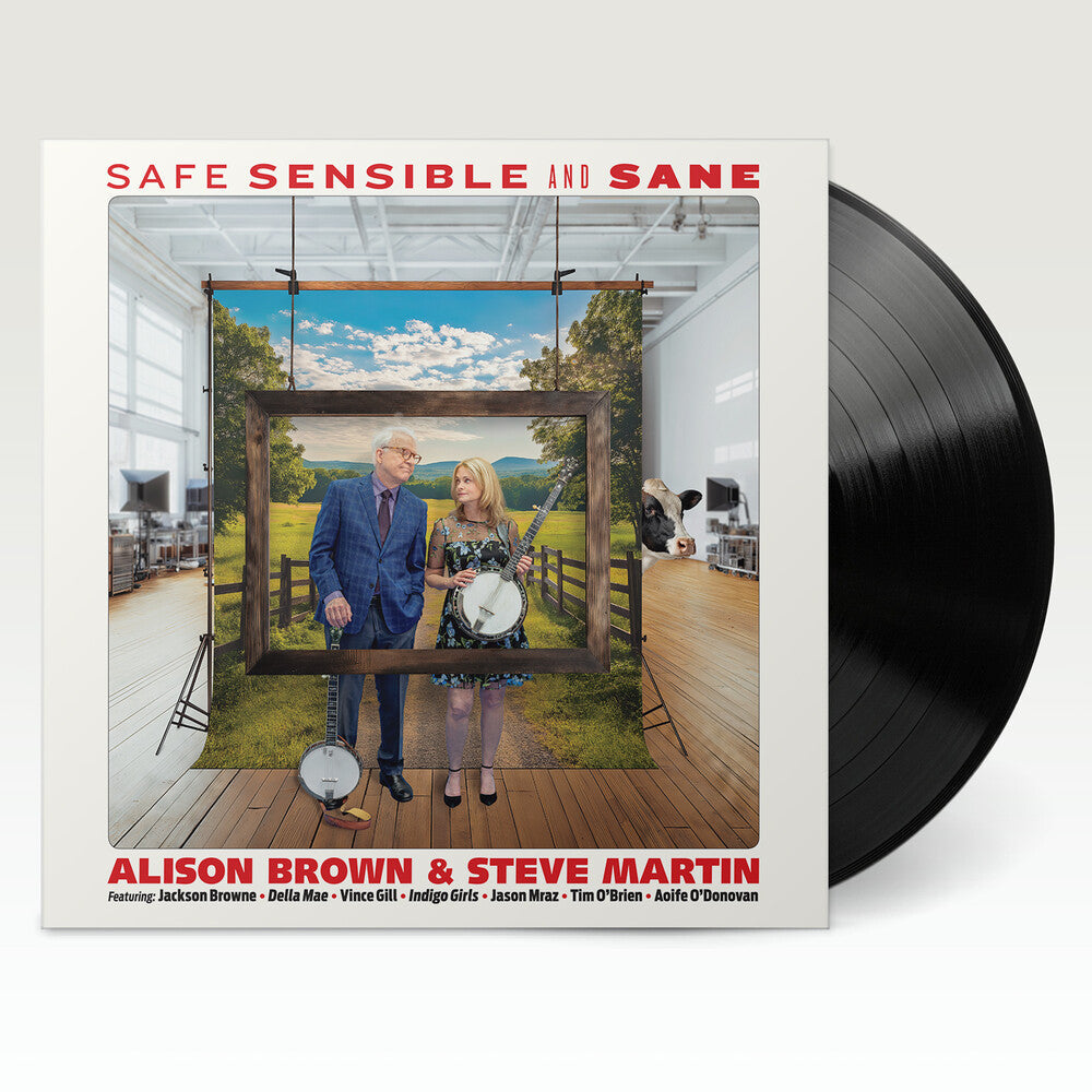 Safe, Sensible and Sane [Classic Black vinyl with 12 page booklet]