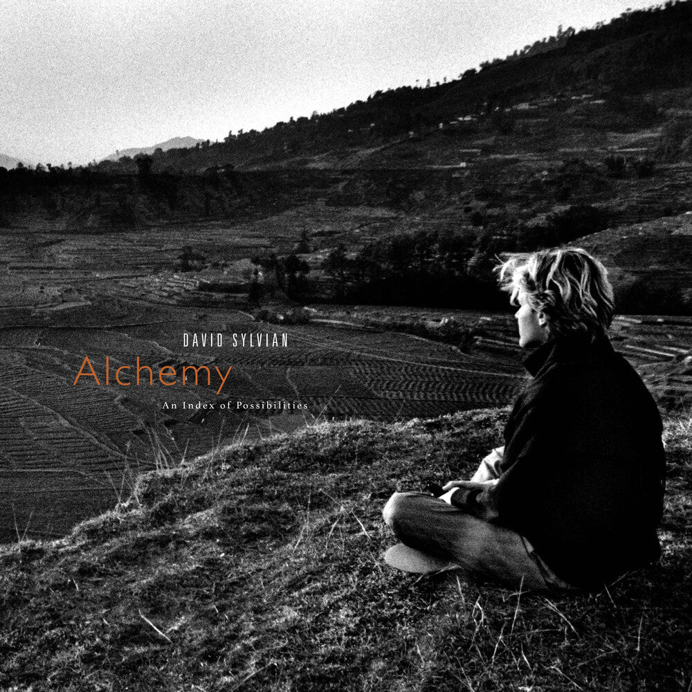Alchemy: An Index Of Possibilities - Gold Opaque [LP]
