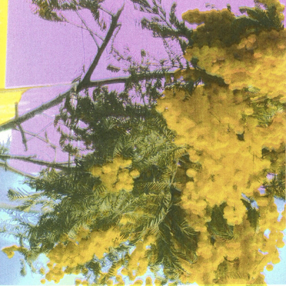 Four Tet - Into Dust (Still Falling) (Ep) [Indie Exclusive]