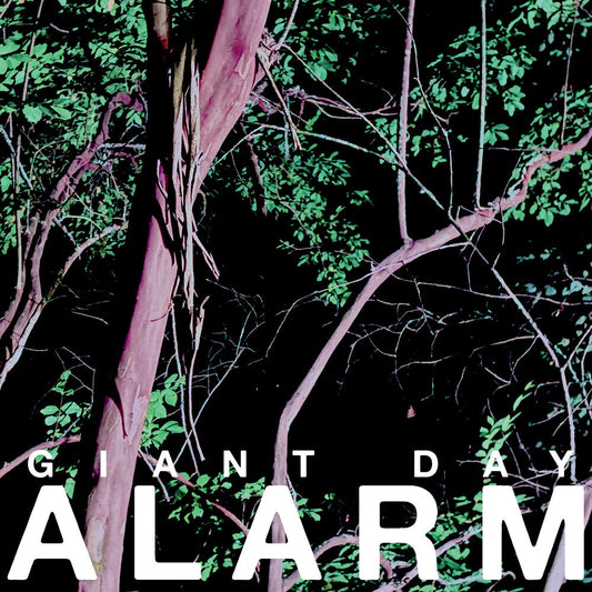 Alarm [LP]