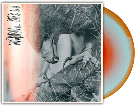 Author & Punisher - Nocturnal Birding [Custom Merge LP]