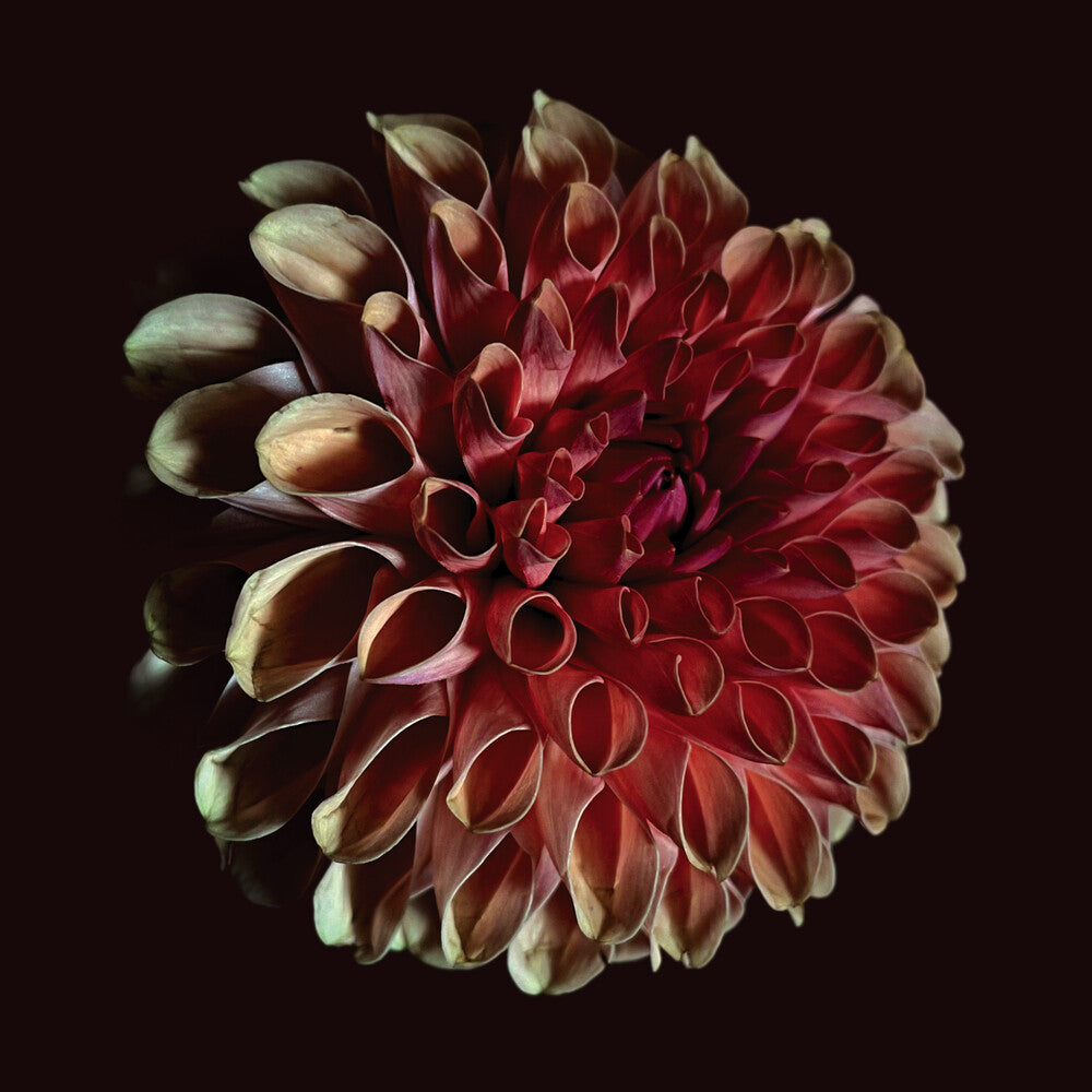 Jessica Moss - Unfolding [LP]