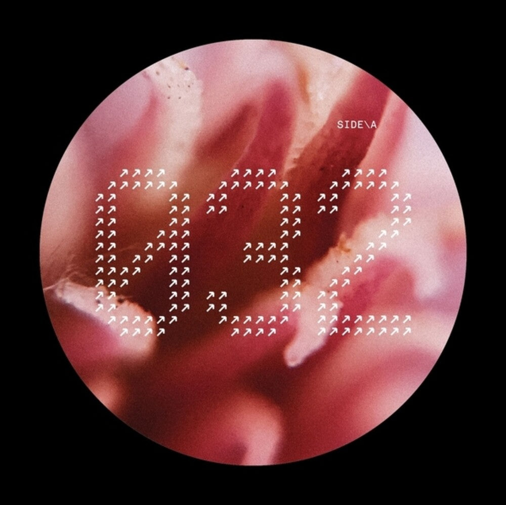 NECH032 [12" Vinyl]