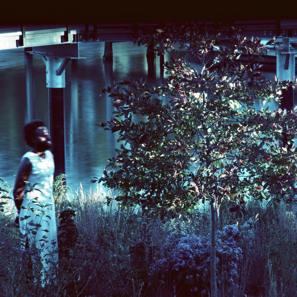 Jjjjjerome Ellis - Vesper Sparrow [LP]
