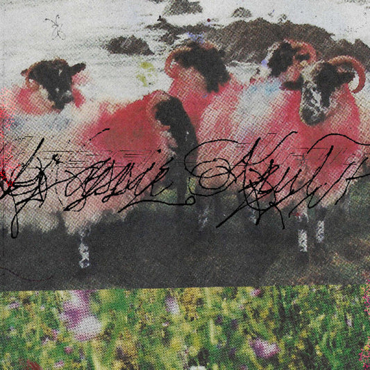 Kassie Krut [LP]