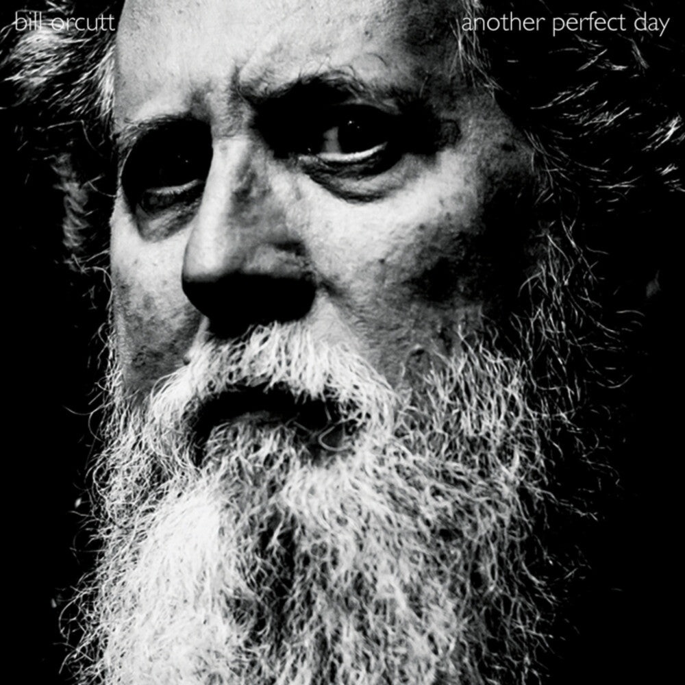 Bill Orcutt - Another Perfect Day [LP]