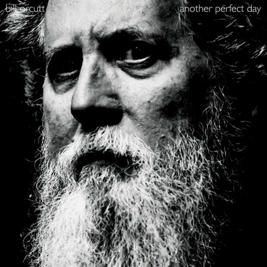 Bill Orcutt - Another Perfect Day [LP]