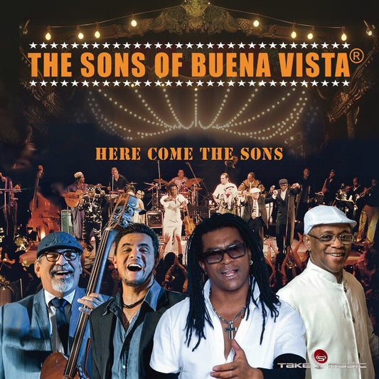 Here Come The Sons [LP]