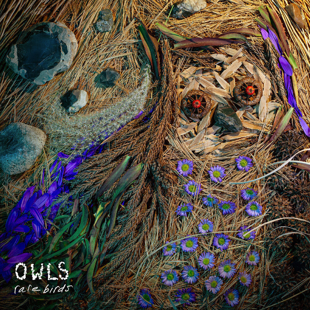 Rare Birds [LP]