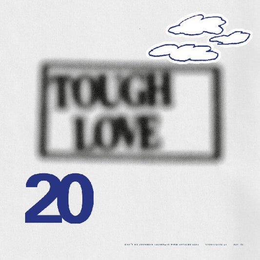 Tough Love 20: Don't Do Anything Important / Var [LP]