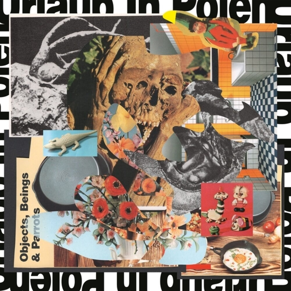 Objects Beings & Parrots [LP]