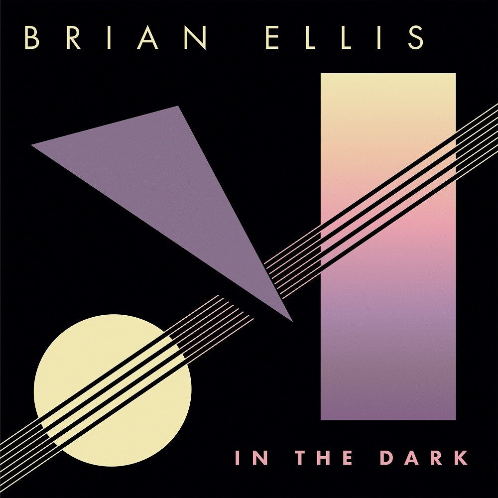 In The Dark [LP]