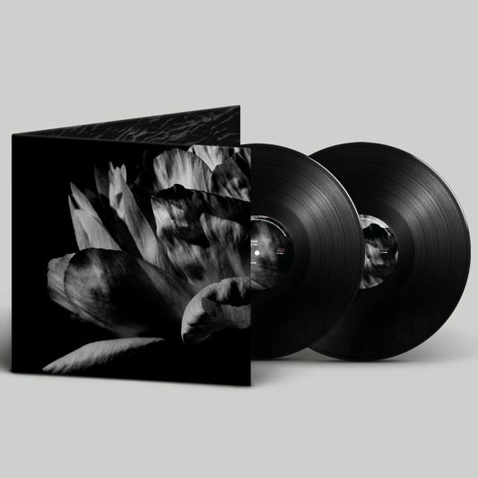 La Ou Passe La Nuit [LP]
