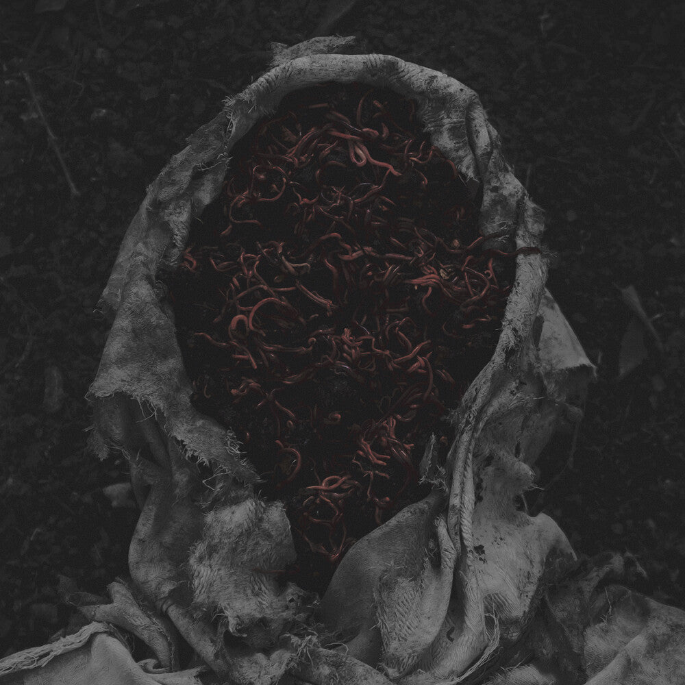 Stillamentum [LP]