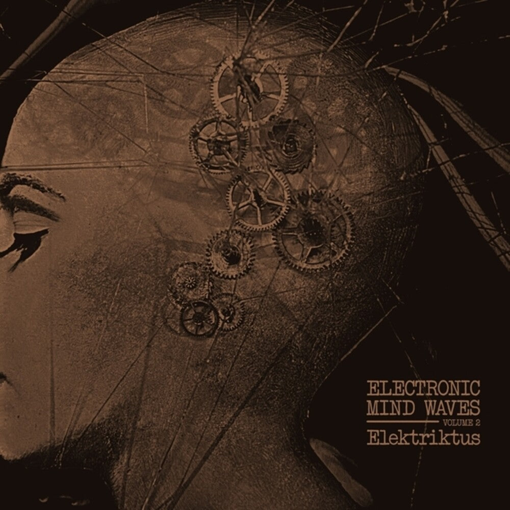 Electronic Mind Waves Volume 2 [LP]