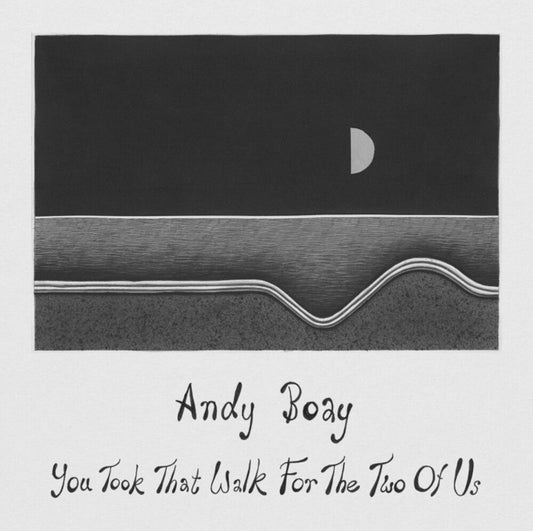 Andy Boay - You Took That Walk For The Two Of Us [LP]