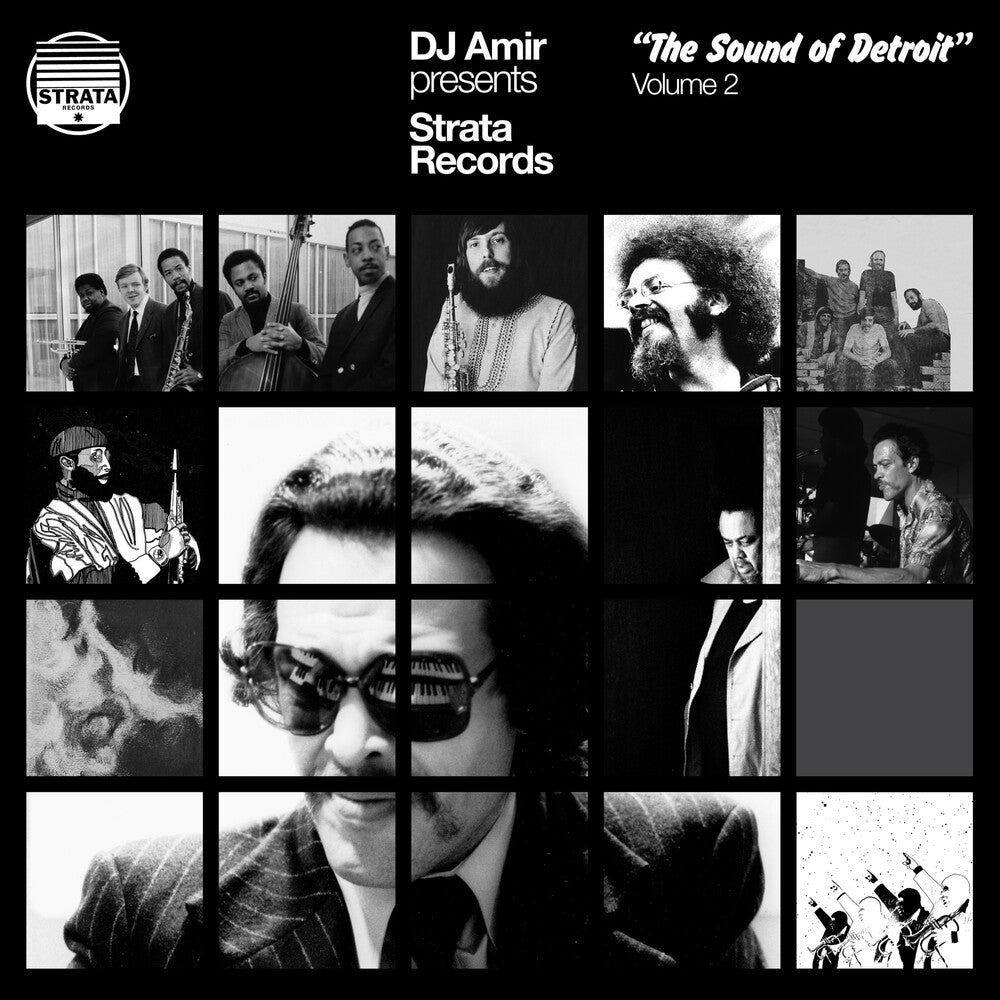 Dj Amir Presents Strata Records: Sound Of Detroit [LP]