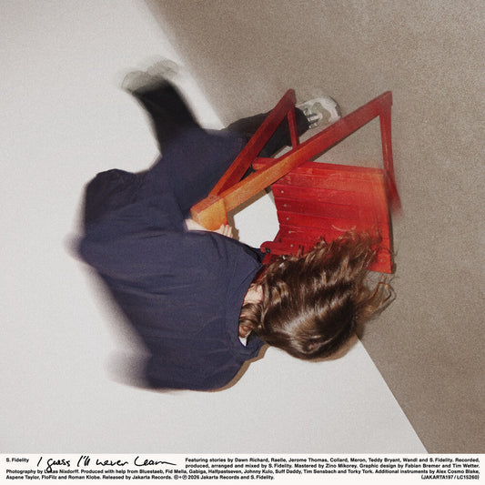 Guess I'll Never Learn [LP]