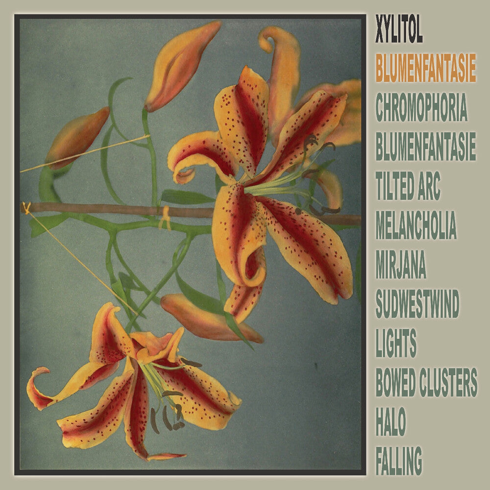 Blumenfantasie [LP]