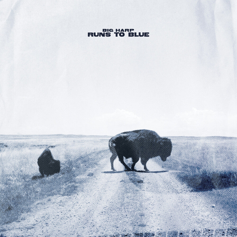 Runs To Blue [Blue]