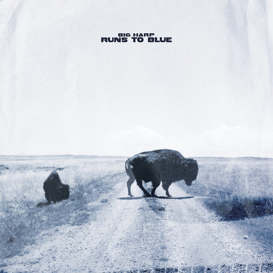 Runs To Blue [Blue]