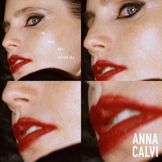 Is This All There Is (Hol) [LP]