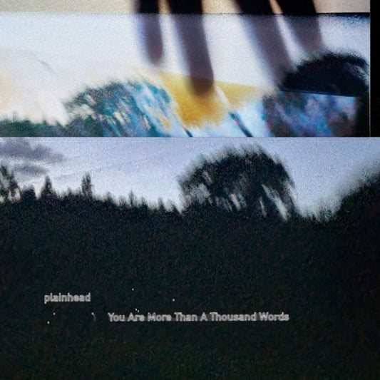 You Are More Than A Thousand Words [LP]