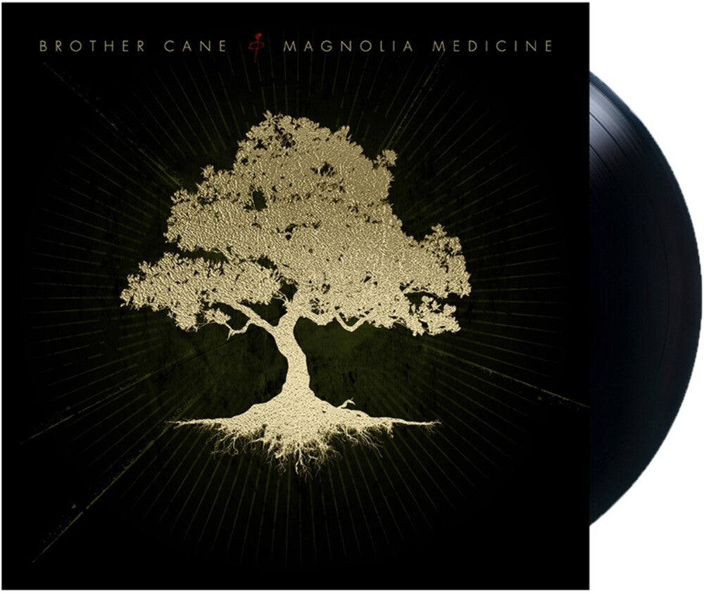 Magnolia Medicine [Reissue]
