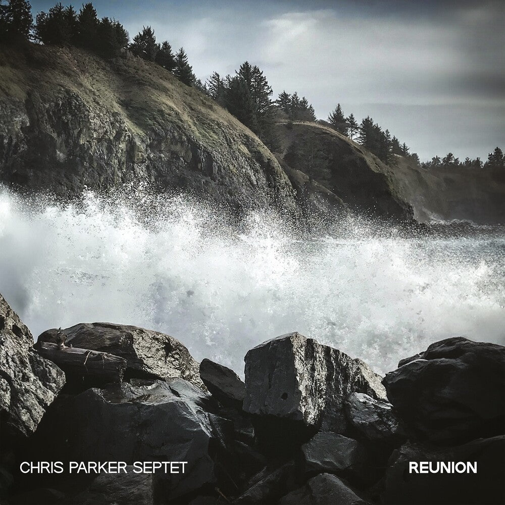 Reunion [LP]