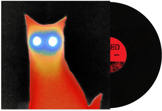 Basement - Wired [LP]