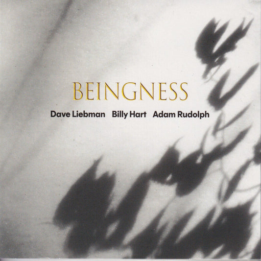 Beingness [Colored Vinyl] [Limited Edition] [180 Gram]