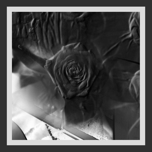 Mind Abandon [LP]