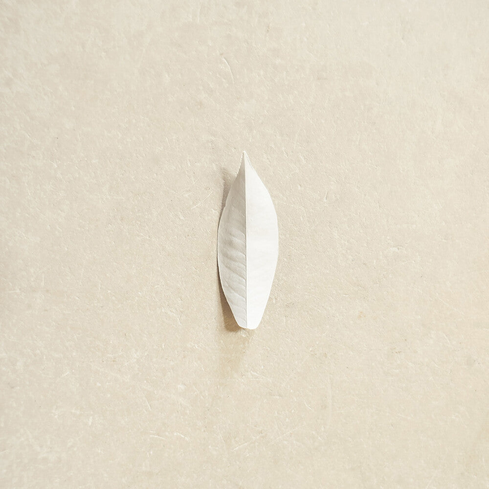 Complexity Of The Simple [LP]