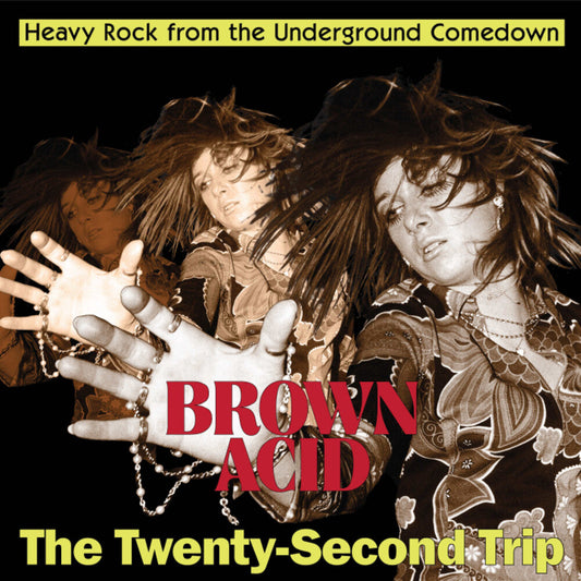 Brown Acid - Twenty-Second Trip / Various [LP]