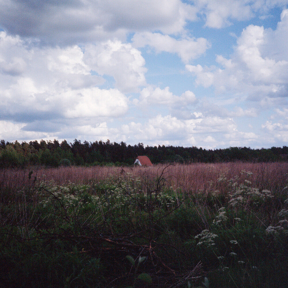 Sung [LP]