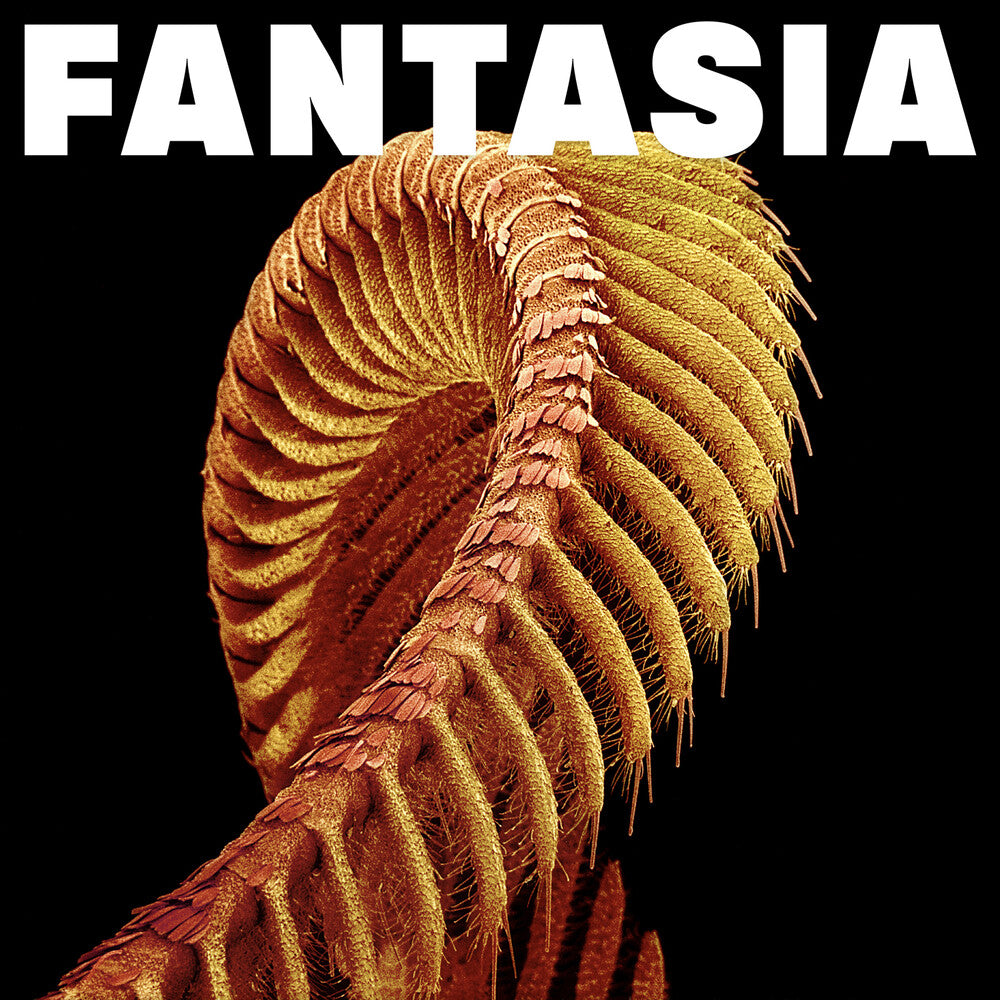 Fantasia [Yellow]