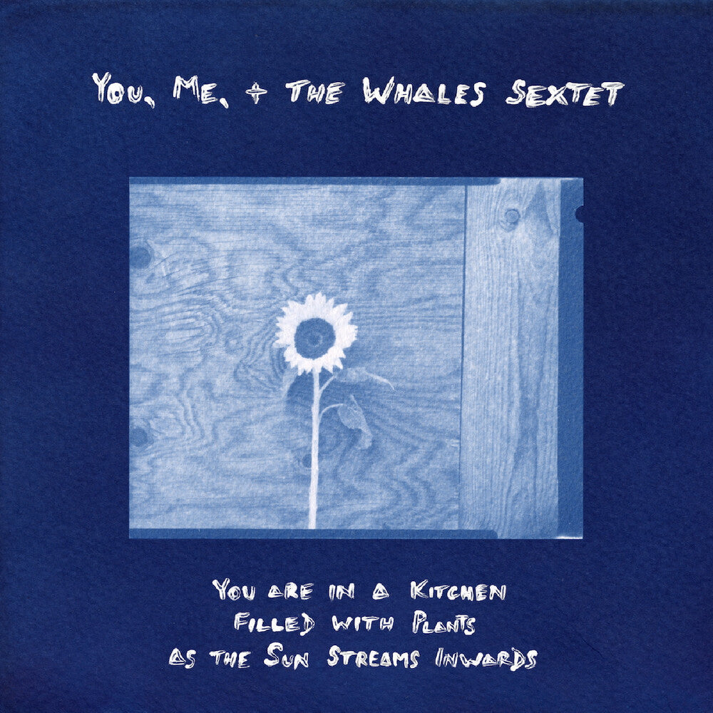 You Are In A Kitchen Filled With Plants As The Sun [LP]