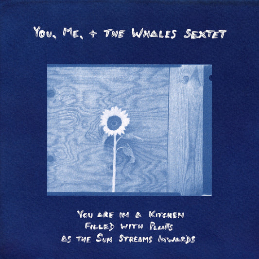 You Are In A Kitchen Filled With Plants As The Sun [LP]