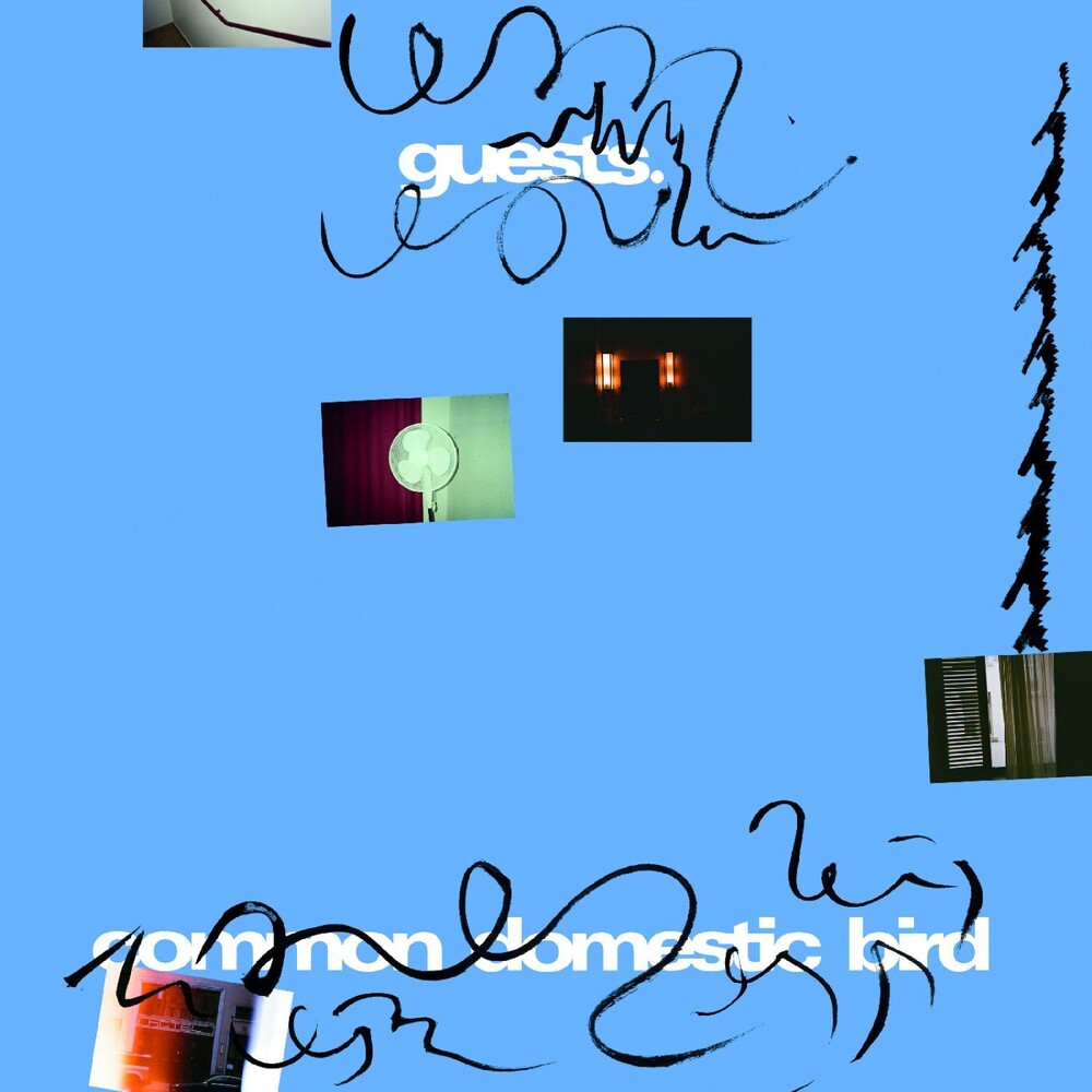 Common Domestic Bird [LP]