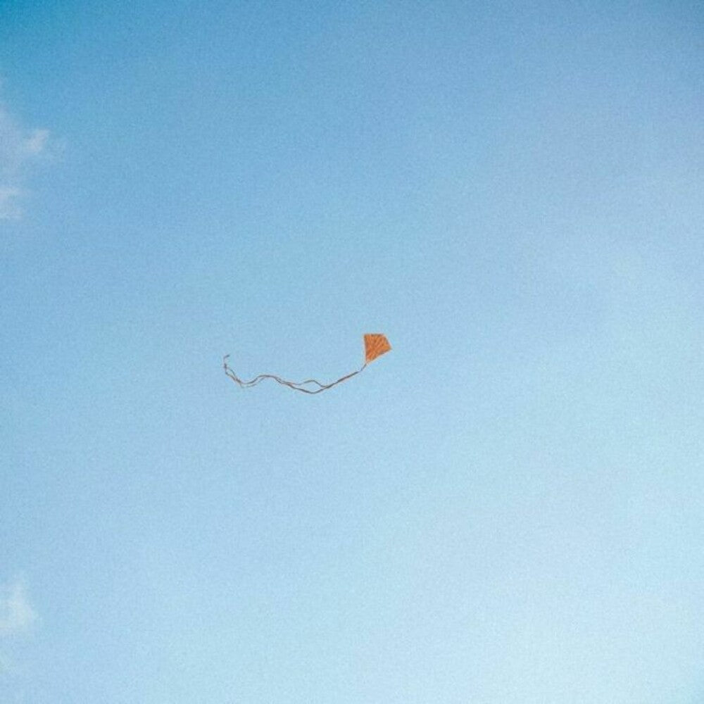 Lost Found & Forgotten [LP]