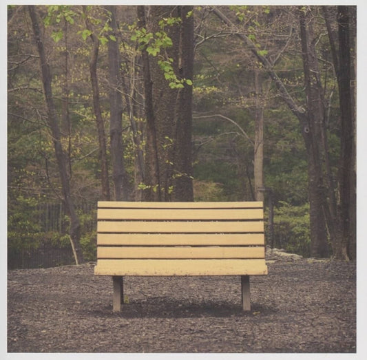 Hands That Thieve [Colored Vinyl] [Reissue]