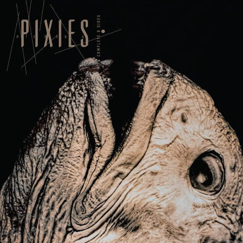 Pixies - Complete B Sides: 1988-97 [Indie Exclusive Clear]