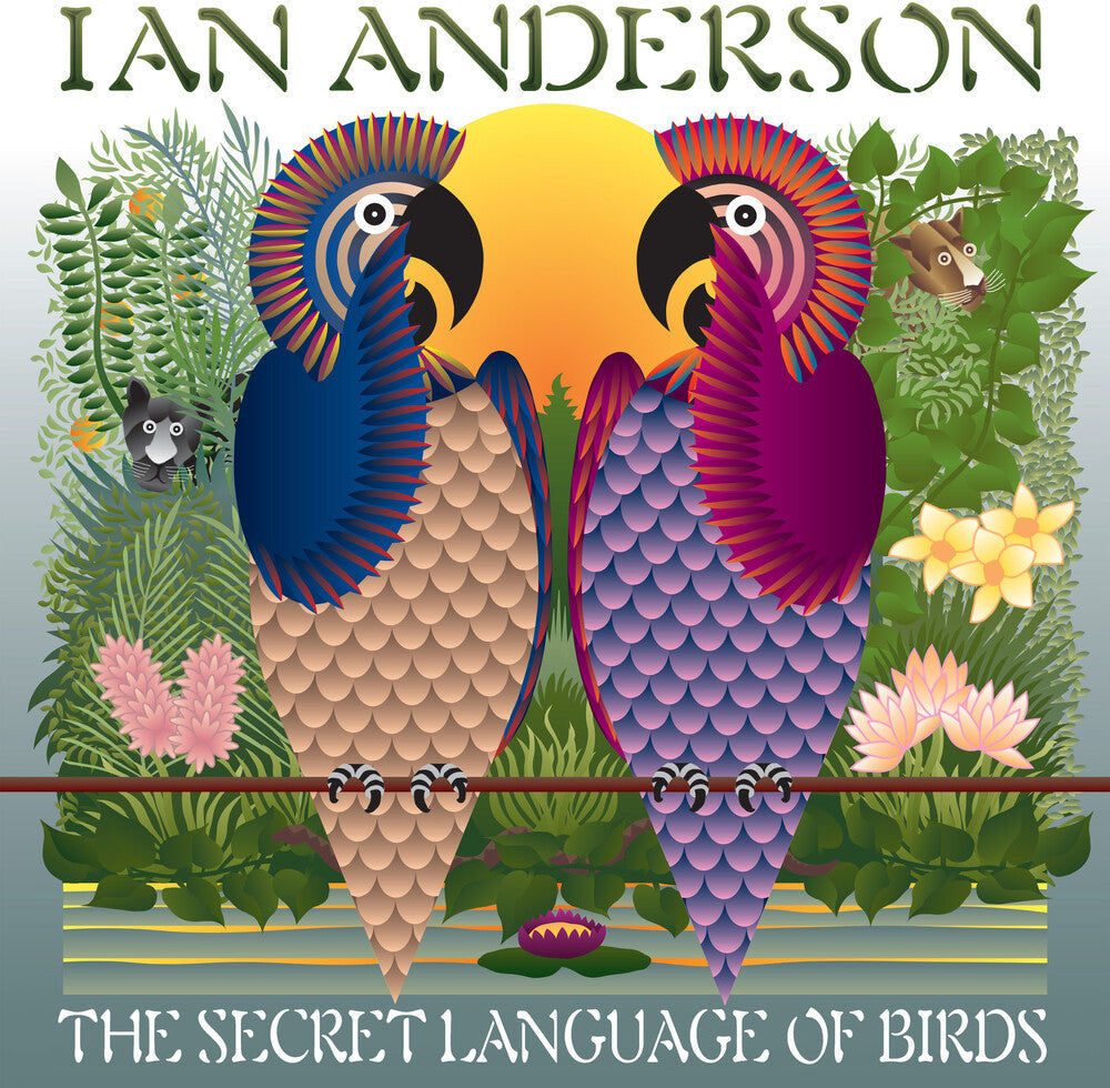 Secret Language Of Birds [LP]