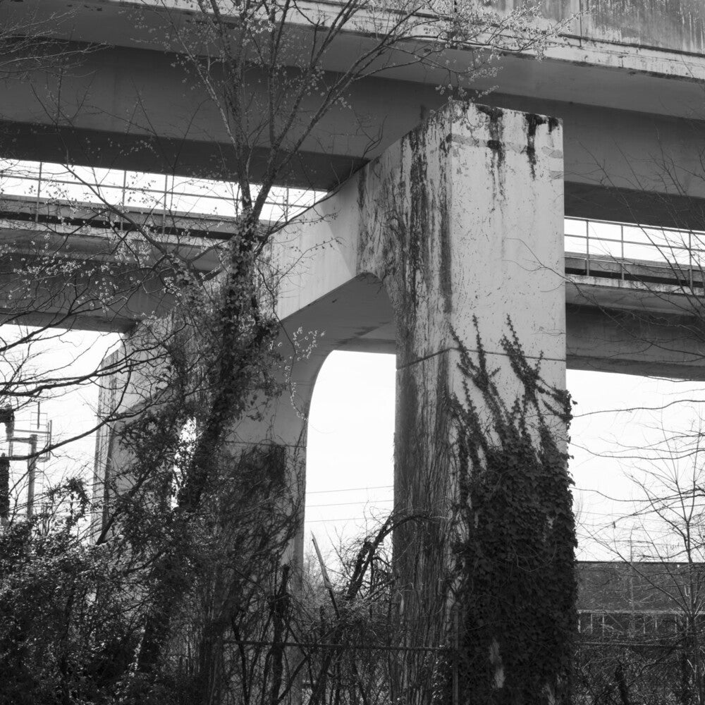 Lose Everything [LP]