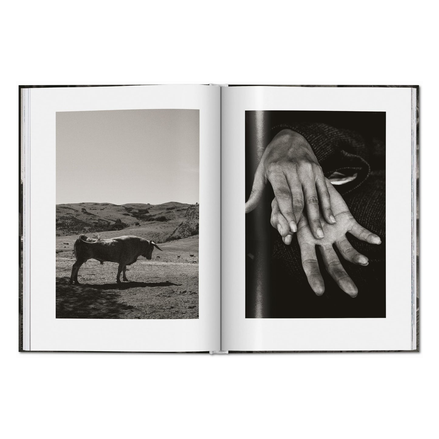 Peter Lindbergh. Untold Stories (English)